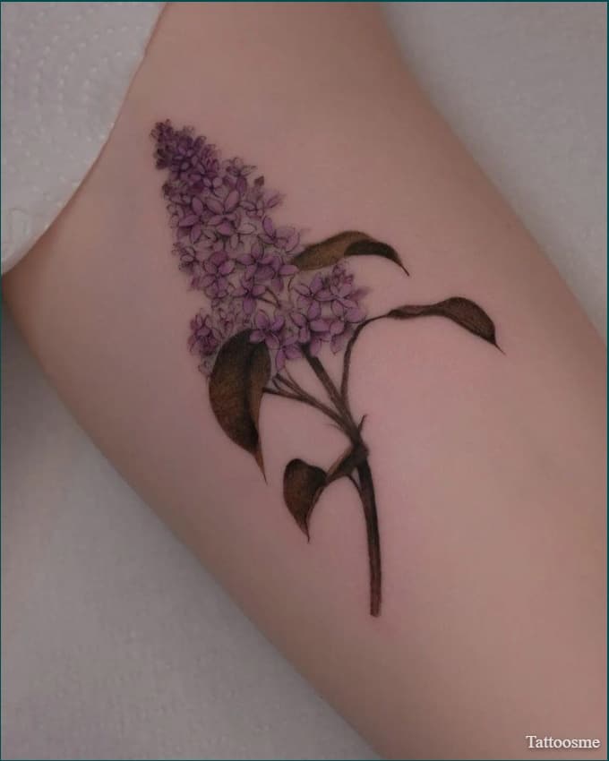 10 Best Lilac Tattoo Ideas Collection By Daily Hind News