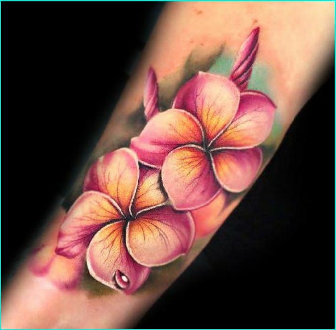 best plumeria flower tattoos