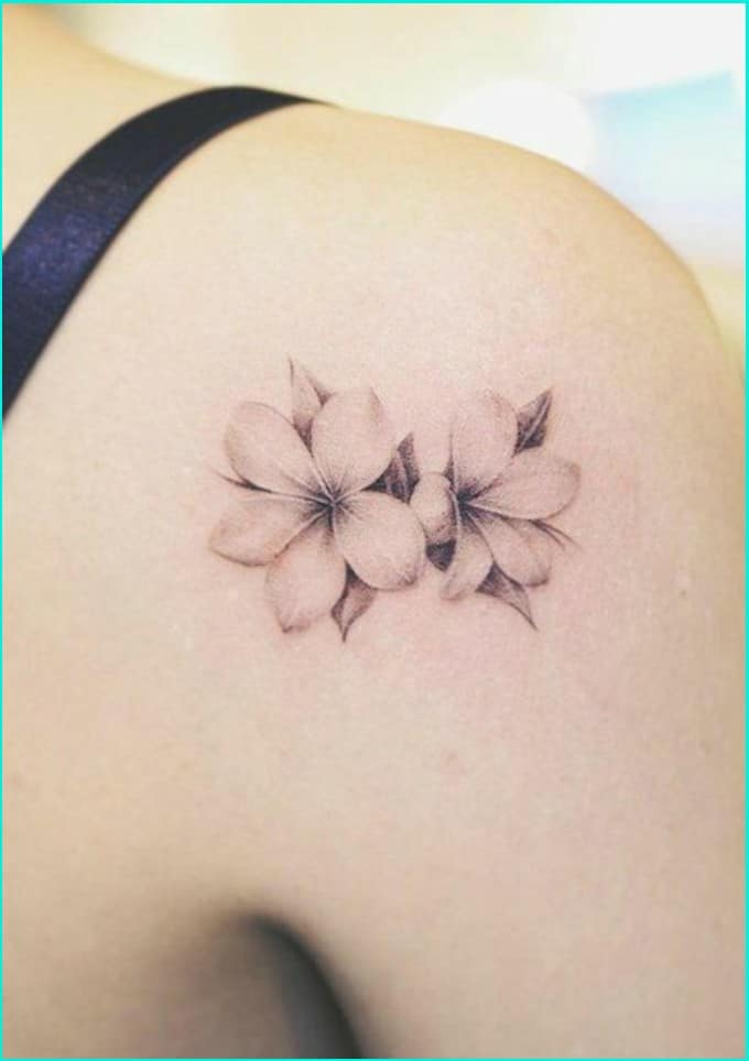 plumeria tattoo