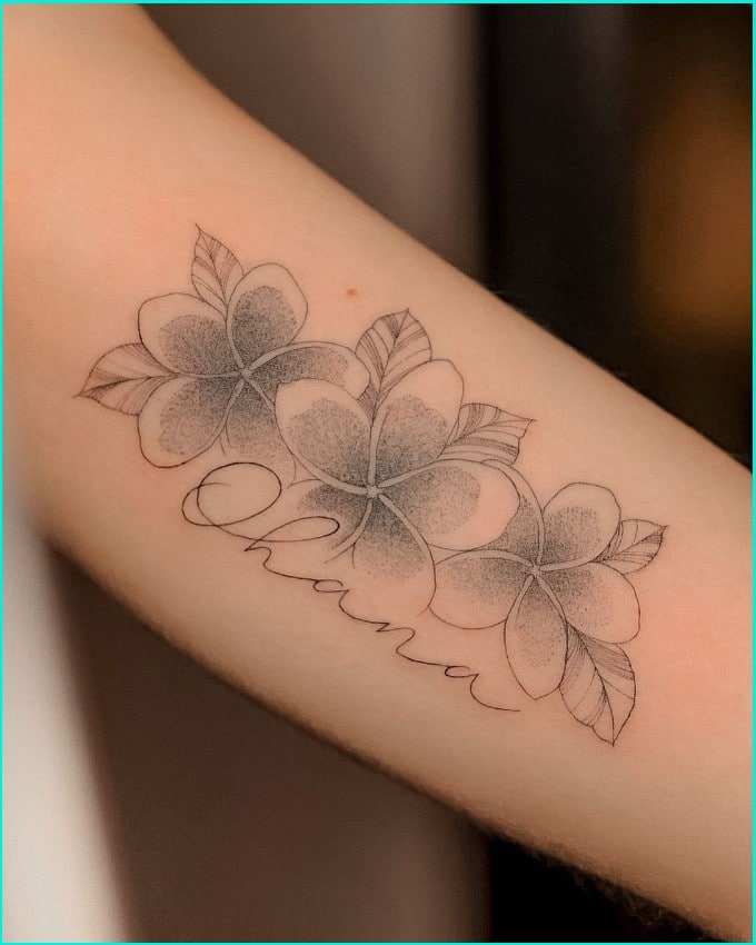 Top 70 Best Plumeria Tattoo Ideas  2022 Inspiration Guide  Next Luxury