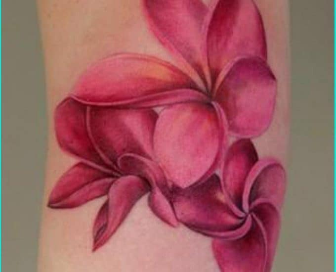 75 Best Hibiscus Flower Tattoo Meaning  Designs  Art of Nature 2019