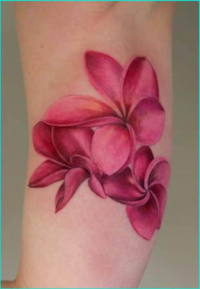 23 Stunning Hawaiian Flower Tattoos  Meaning  tattooglee  Hawaiian  flower tattoos Flower tattoo meanings Flower wrist tattoos