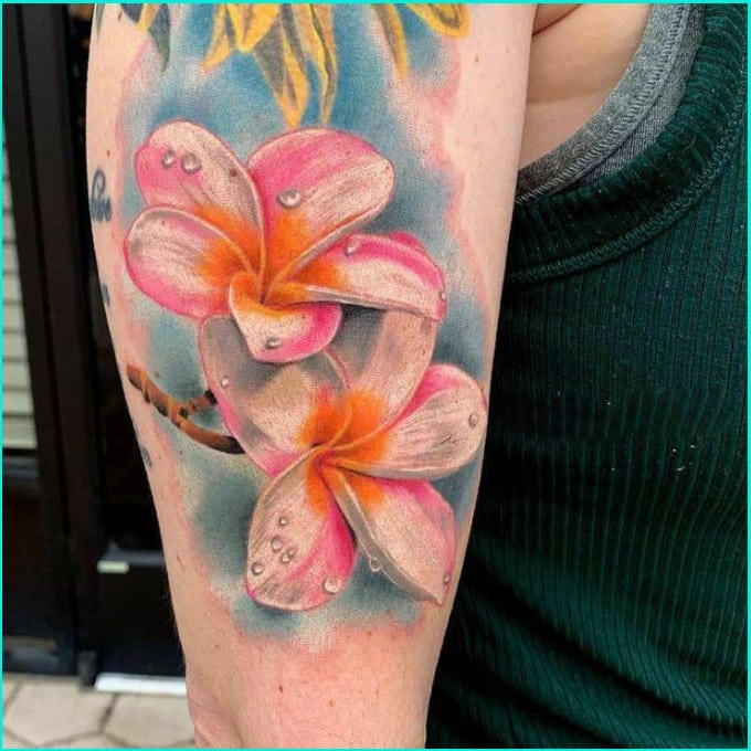 plumeria flower tattoos