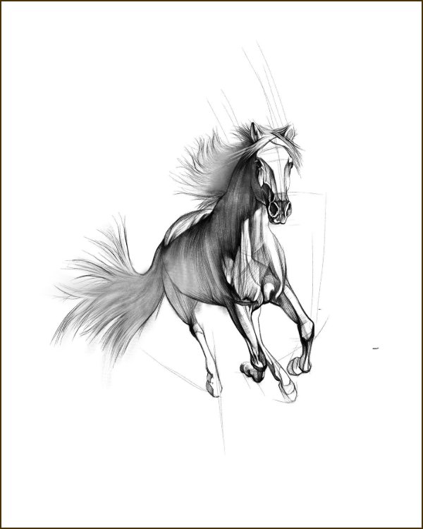 horse tattoos drawings ideas stencils