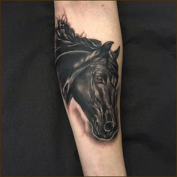 horse face tattoo on forearm