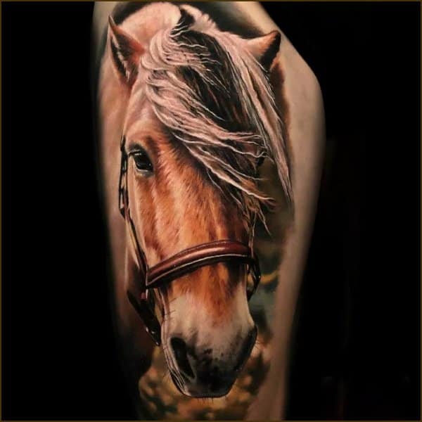 horse tattoos coloured
