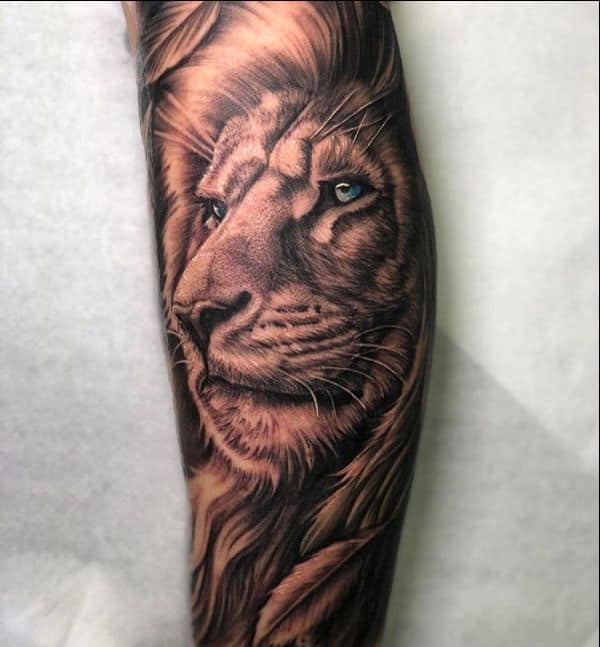 lion of judah tattoo.