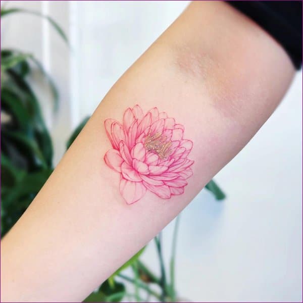 lotus tattoo instagram