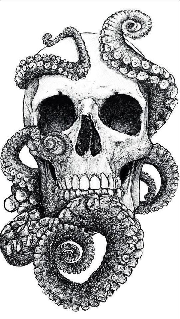 octopus drawings tattoos with skull and tentacles