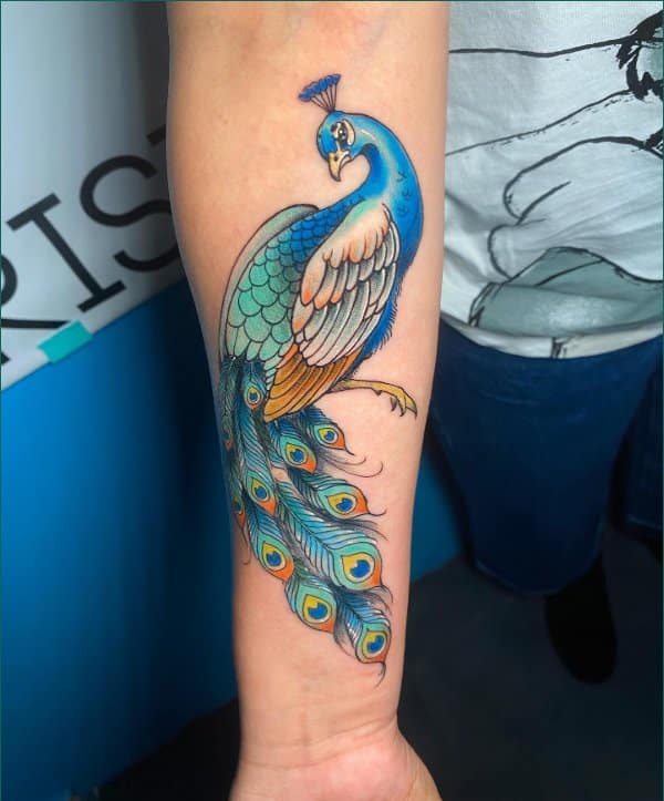 best peacock tattoos