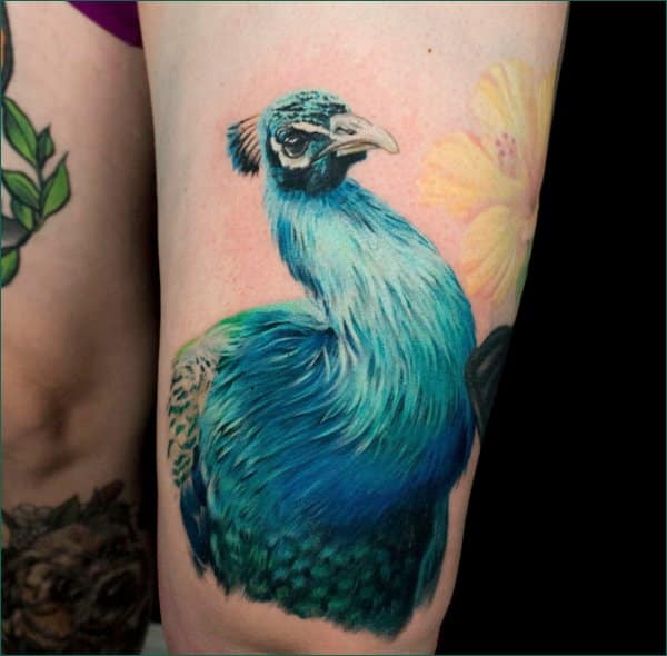 peacock tattoo designs on thigh
