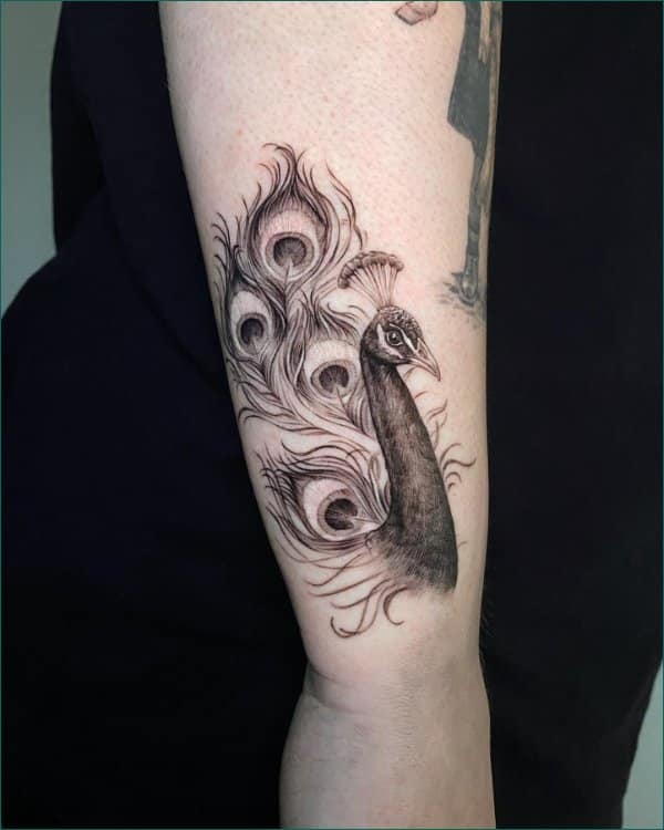 best peacock tattoos