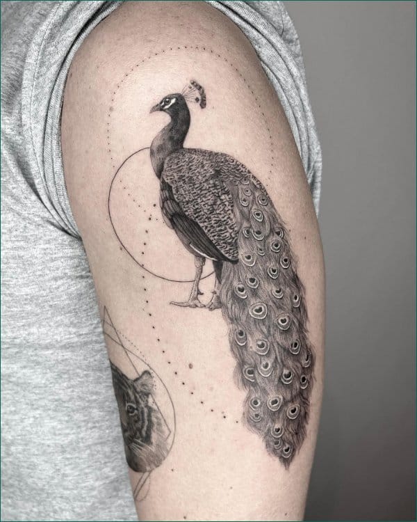 Learn 95+ about black peacock tattoo super cool .vn