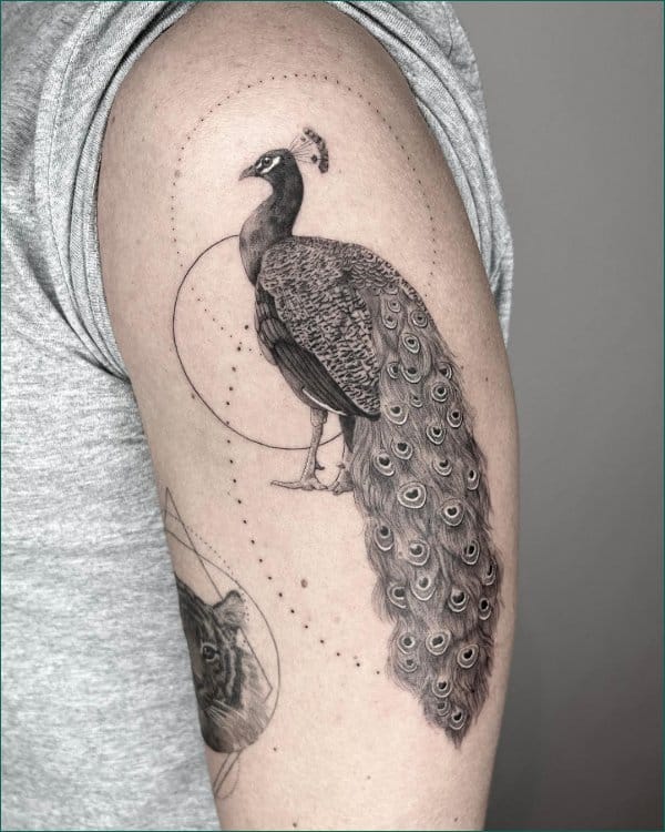 peacock tattoo sleeve male