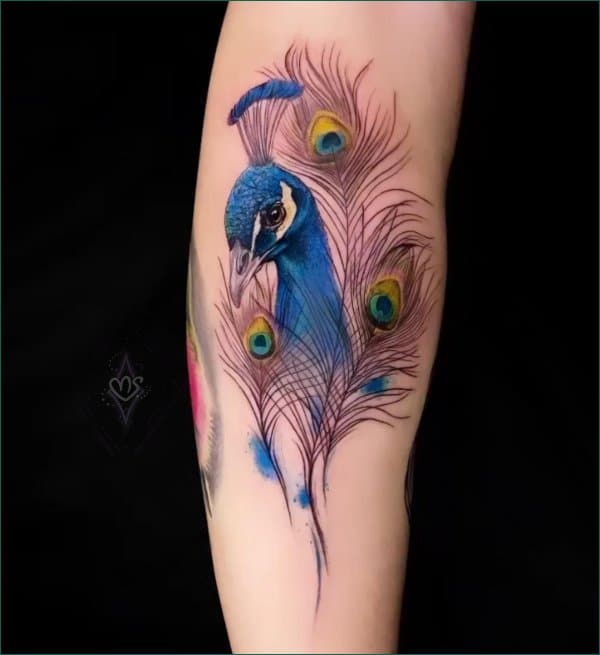 peacock tattoo sleeve male