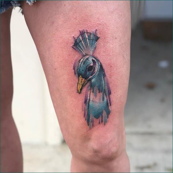 peacock feather tattoo meaning