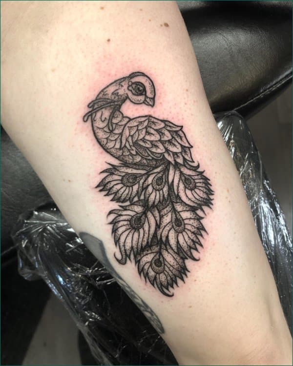 peacock tattoo black