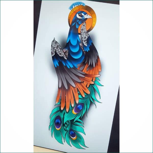 best peacock tattoo sketch drawing