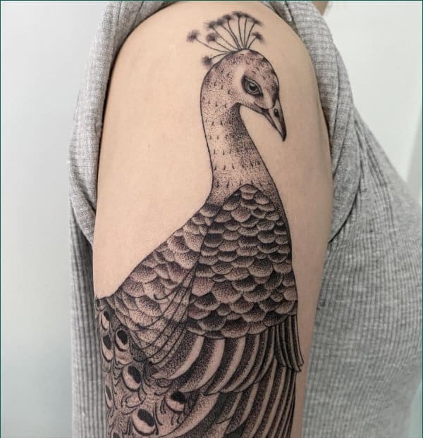 tatuaje de pavo real para damas