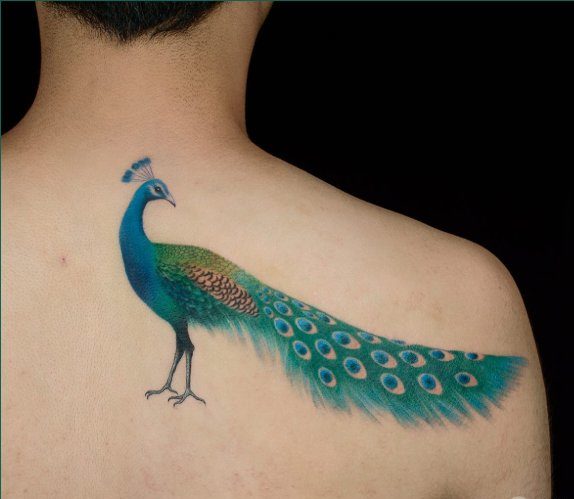 tatuaje de pavo real en la espalda