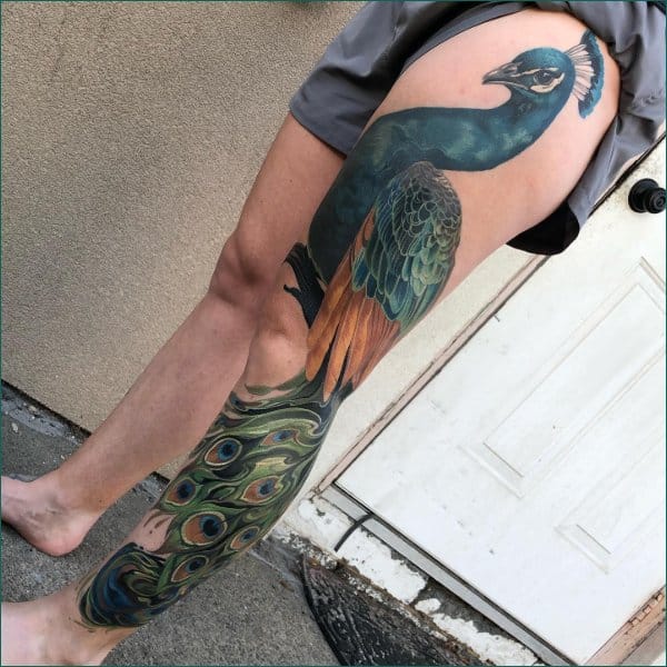 best peacock tattoos on thigh
