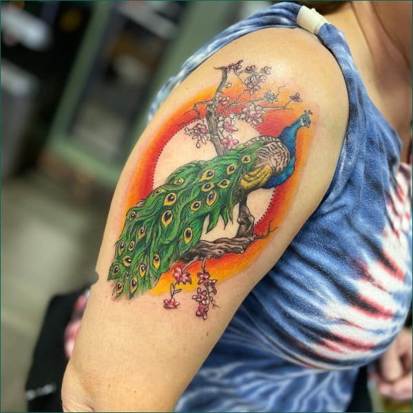 best peacock tattoos on shoulder