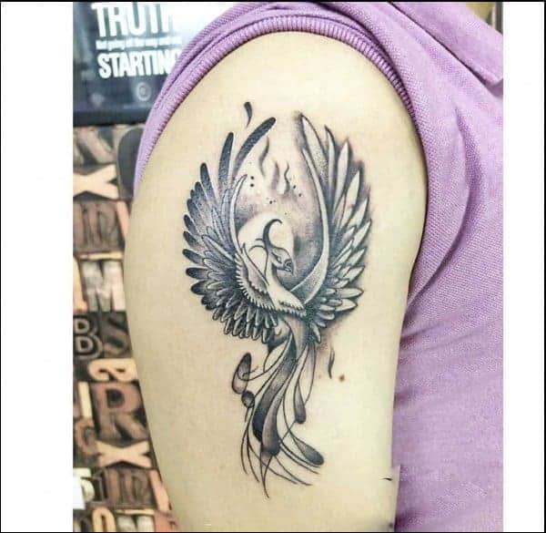 phoenix bird tattoo