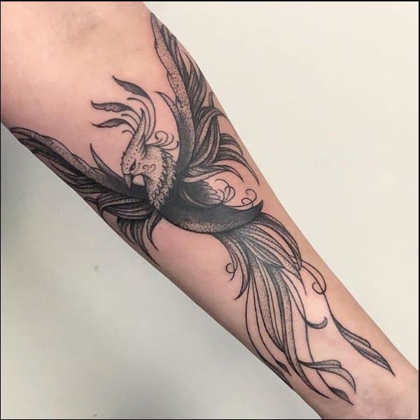 phoenix tattoo forearm