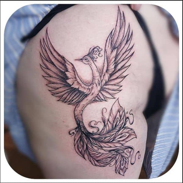 Top 20  Best Phoenix Tattoos  FEMALE PHOENIX TATTOO DESIGNS IN 2022   Tattoos Design And Ideas  YouTube