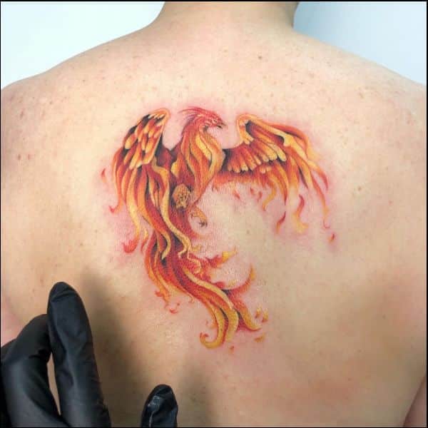 phoenix tattoo