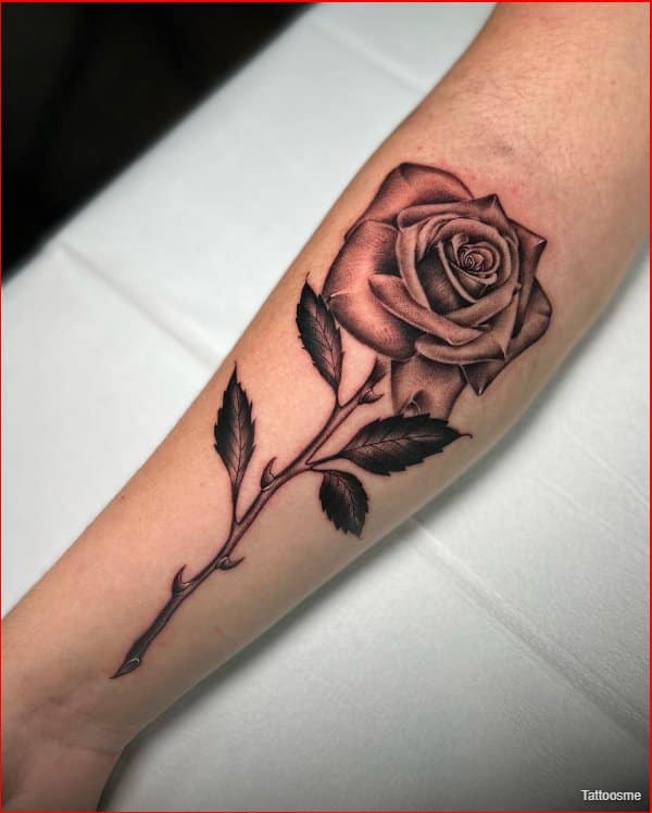 simple rose tattoos forearms