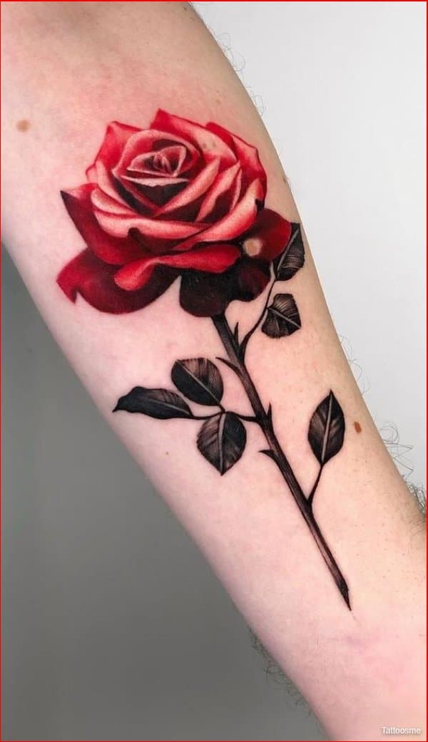 best rose tattoo on arms