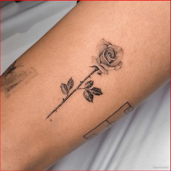 Best simple rose tattoos