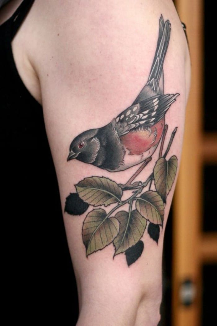 best sparrow tattoos