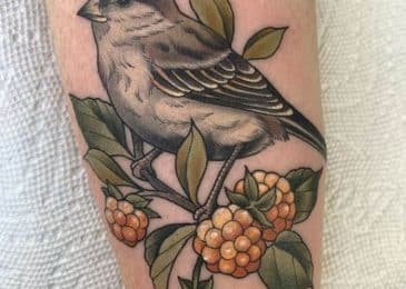 sparrow tattoos designs