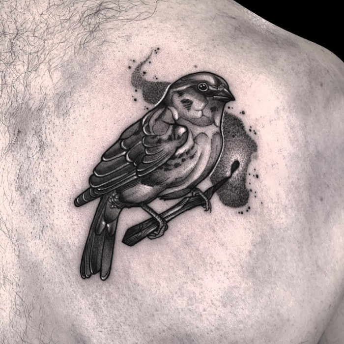 sparrow tattoo on chest