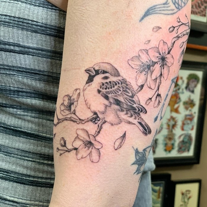 real sparrow tattoos