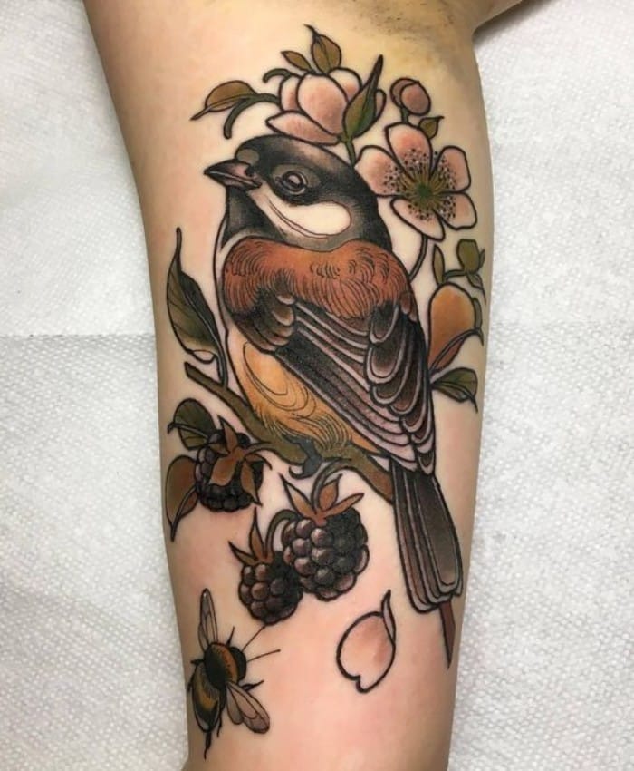 sparrow tattoos 3d