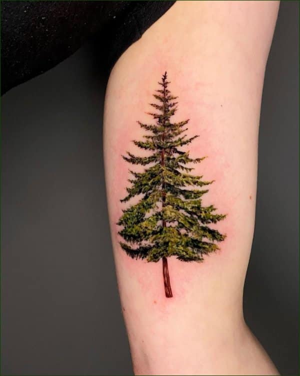 tree tattoos green
