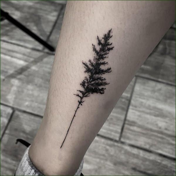 tree tattoos calf