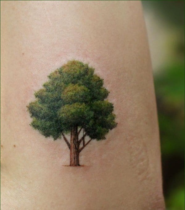tree tattoos cartoon
