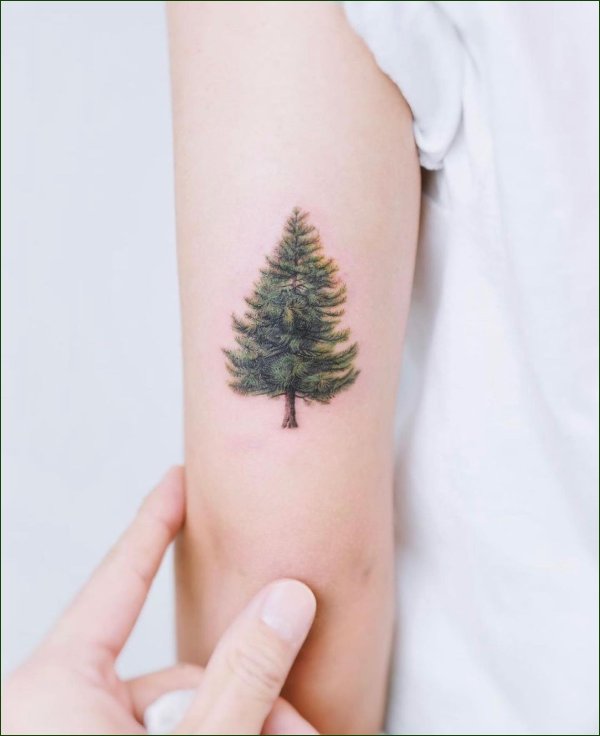 tree tattoos minimalist