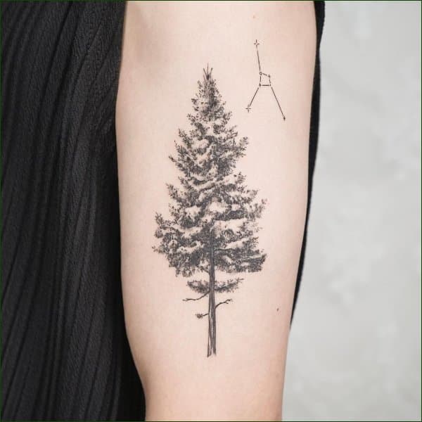 tree tattoos elbow
