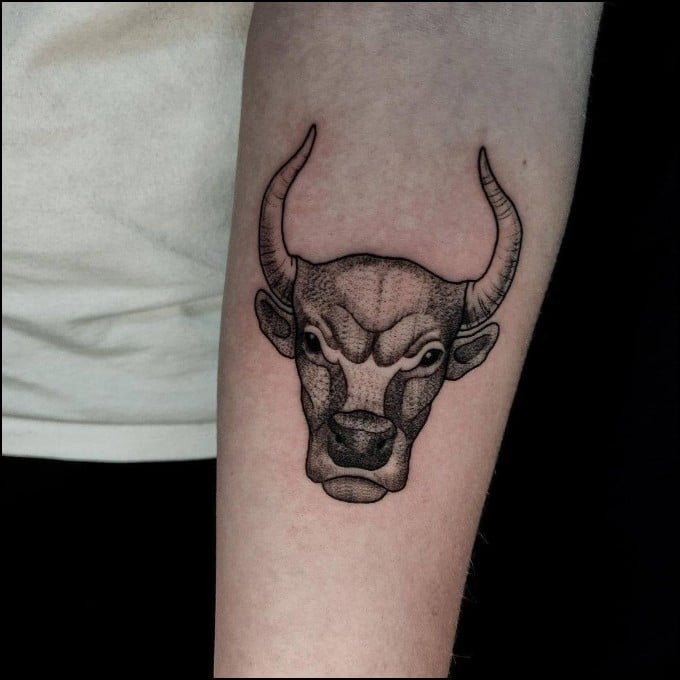tattoos of taurus the bull head