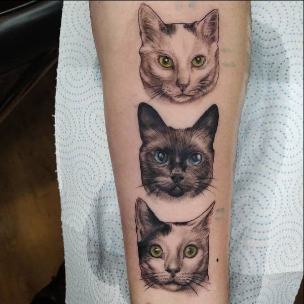three cat face tattoos