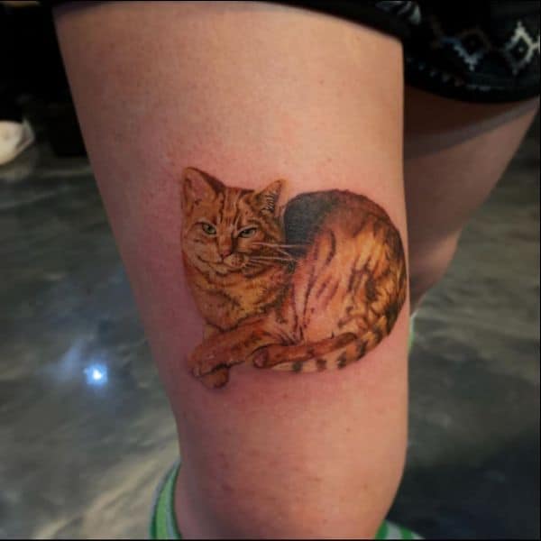 best cat tattoos