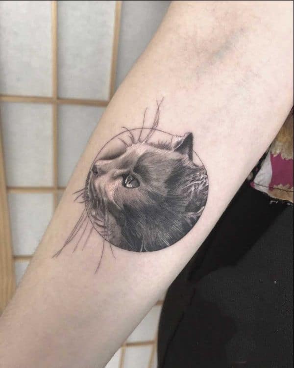 62 Cute And Lovely Cat Tattoos For Men And Women