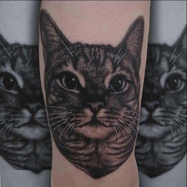realistic cat tattoos