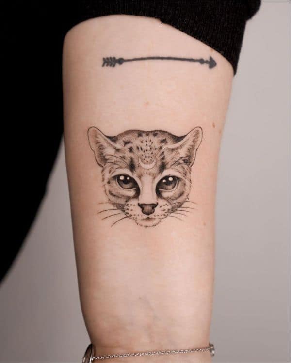 kitten tattoos
