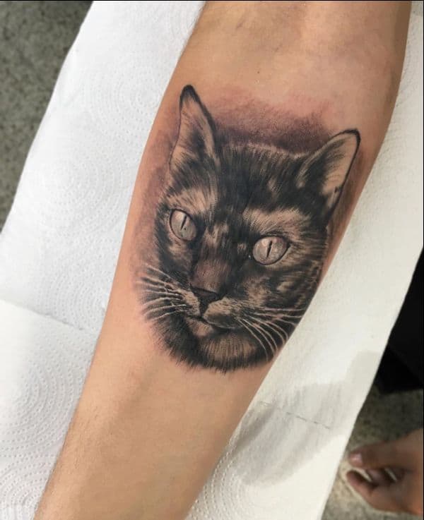 bad cat tattoos